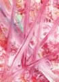 Paint_17