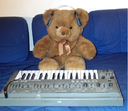 ... Mais le SH-101 sait aussi faire des bleeps bien acides ou des sons biens bizarres gràce à son LFO switchable en noise ou random. 